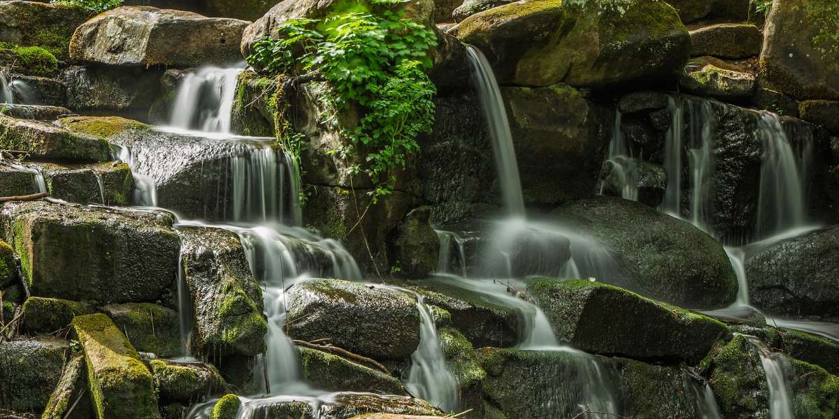 Chi ha sete venga a me e beva, chi crede in me. Come dice la Scrittura, fiumi di acqua viva sgorgheranno dal suo seno. (Gv 7,37/